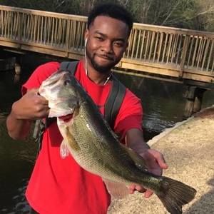 Meet your Posher, Julius