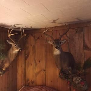 Meet your Posher, Brad n amanda