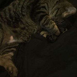 Meet your Posher, Bryn