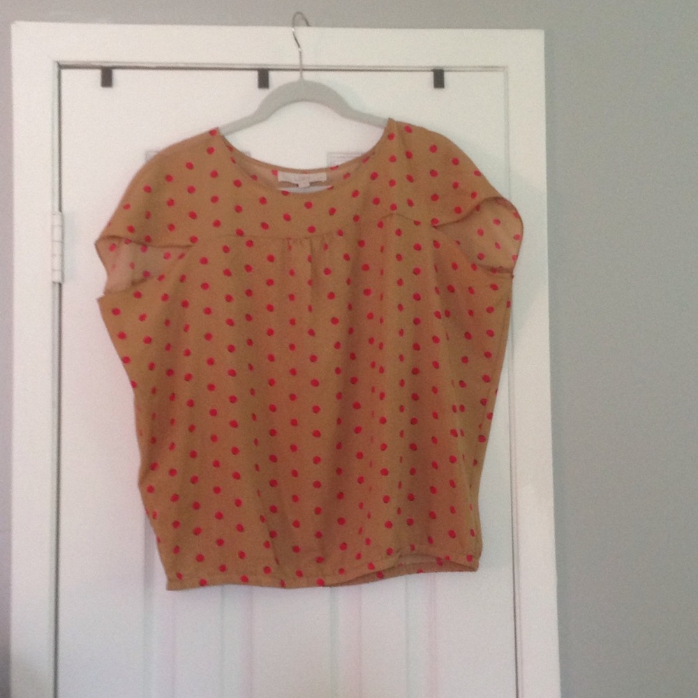 NWT Ann Taylor Loft top petite