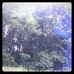 MOVING SALE EVERYTHING MUST GO FROM MY SHOP