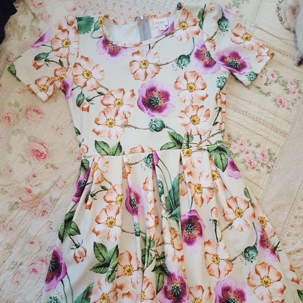 NWOT LULAROE AMELIA DRESS FLORAL M