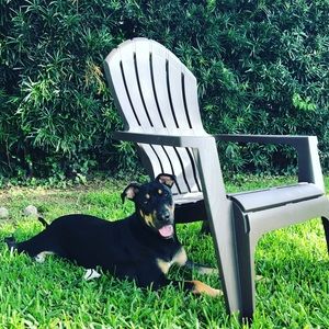 Meet your Posher, Angela