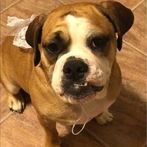 Meet your Posher, Christine