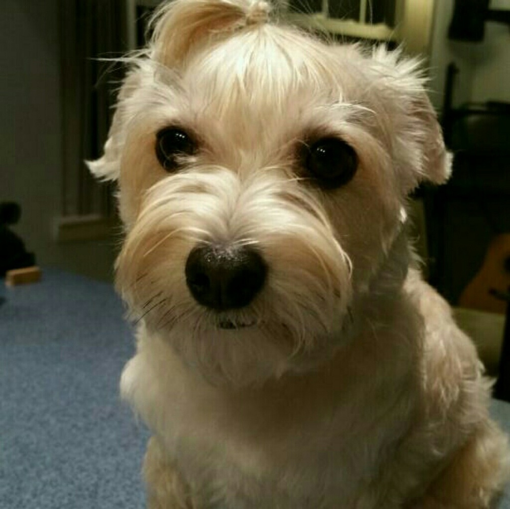 Meet your Posher, Angie