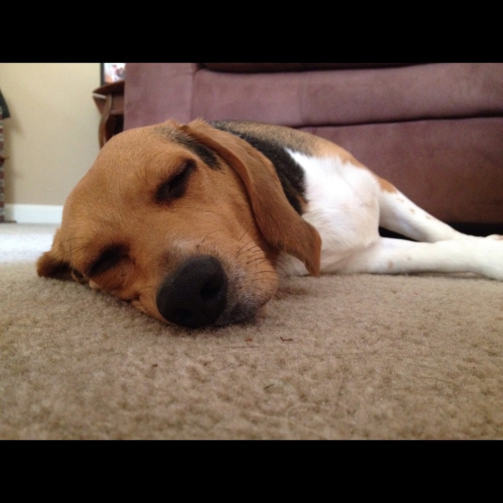 Meet your Posher, Carly