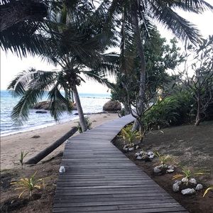 Meet your Posher, Grace