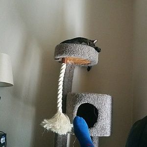 Meet your Posher, Greg