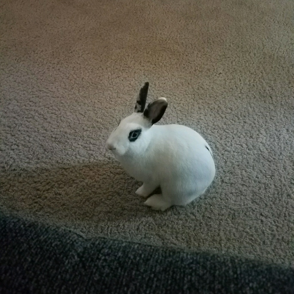 Meet your Posher, Gby