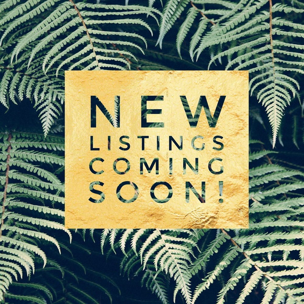 Accepting offers!
