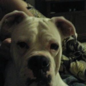 Meet your Posher, Jacki