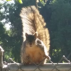 Meet your Posher, Jorge