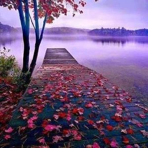 Meet your Posher, Deborah