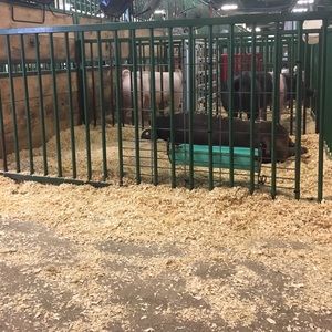 Meet your Posher, Angela