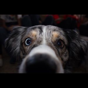 Meet your Posher, Angela