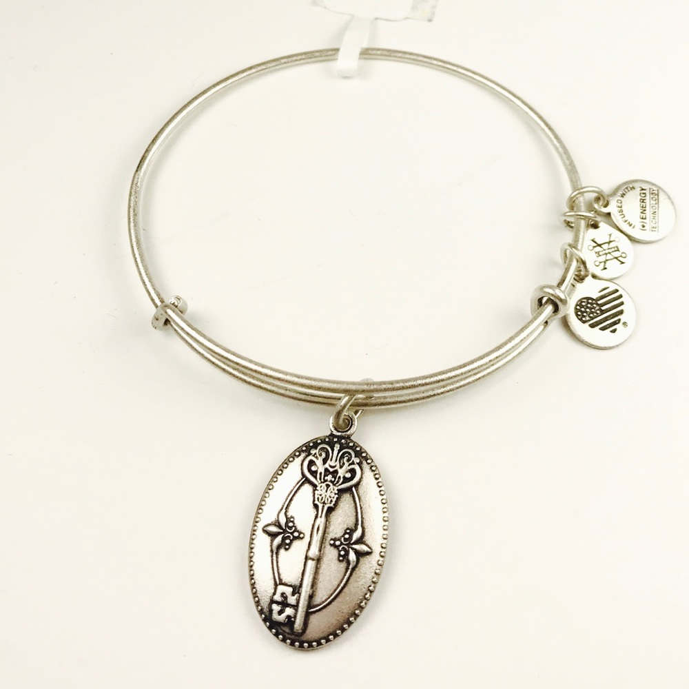 Alex&Ani Silver KeyTo Life