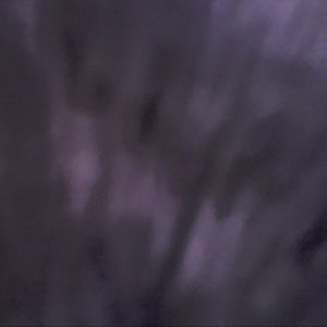 Meet your Posher, Paige