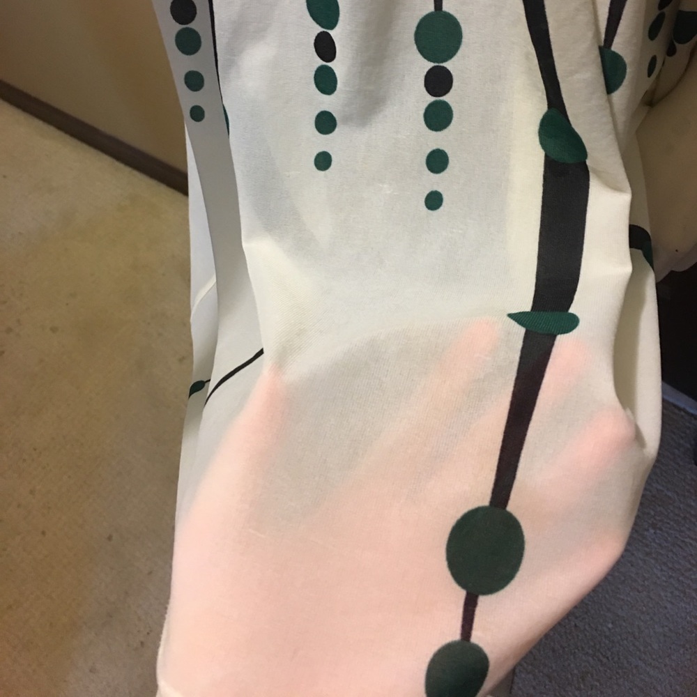 One of a kind!!!!!! Sheer dress or cover-up - Picture 2 of 3