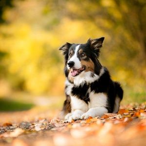 Meet your Posher, Ricci