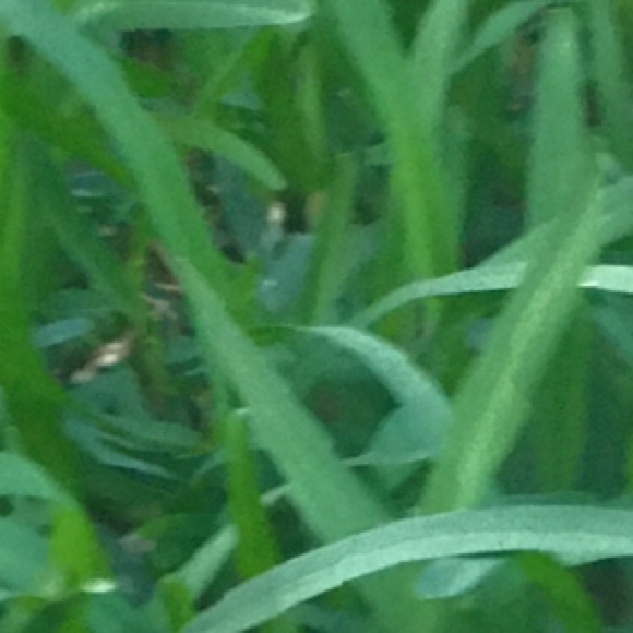 Meet your Posher, Zero - Picture 1 of 1