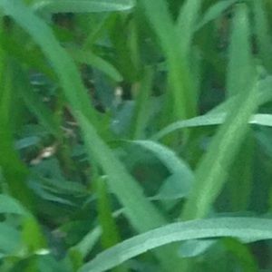 Meet your Posher, Zero