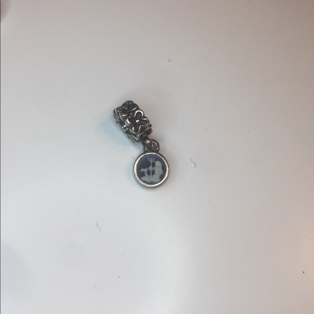 Pandora charm Aquarius