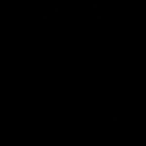 Meet your Posher, Benny