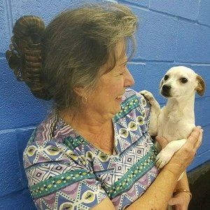 Meet your Posher, Rhonda