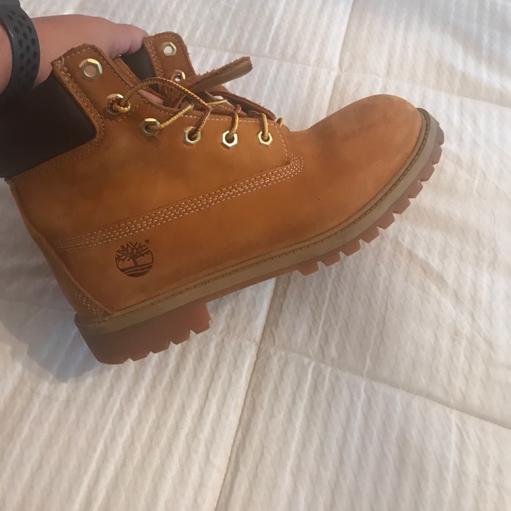 Timberlands - Picture 3 of 4