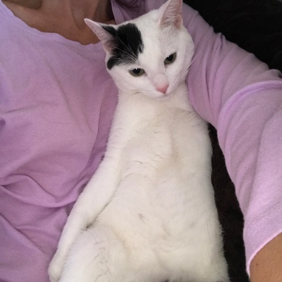 Meet your Posher, Carly - Picture 12 of 12