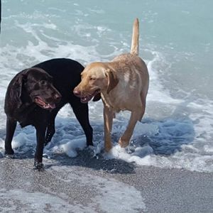 Meet your Posher, Christina