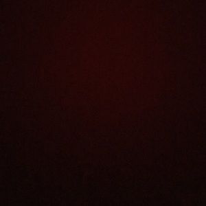 Meet your Posher, Shay