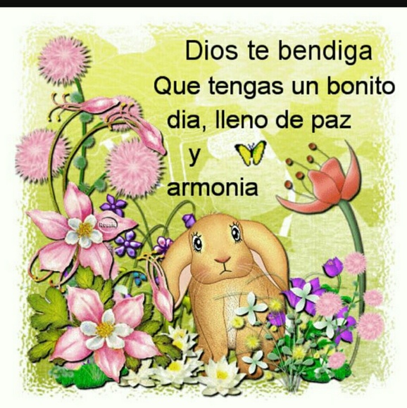 Meet your Posher, Raisa - Picture 2 of 3