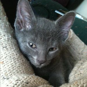 Meet your Posher, Kim