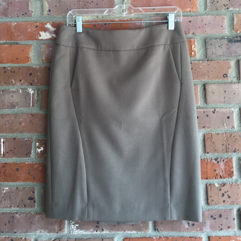 NWOT Ann Taylor Skirt