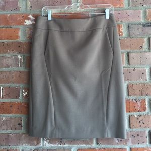 NWOT Ann Taylor Skirt
