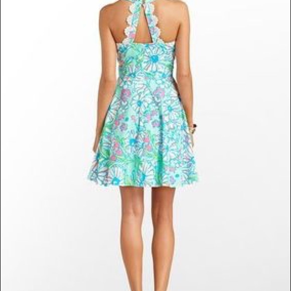 Lilly Pulitzer Zo Dress - Picture 2 of 5