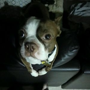 Meet your Posher, Sterling