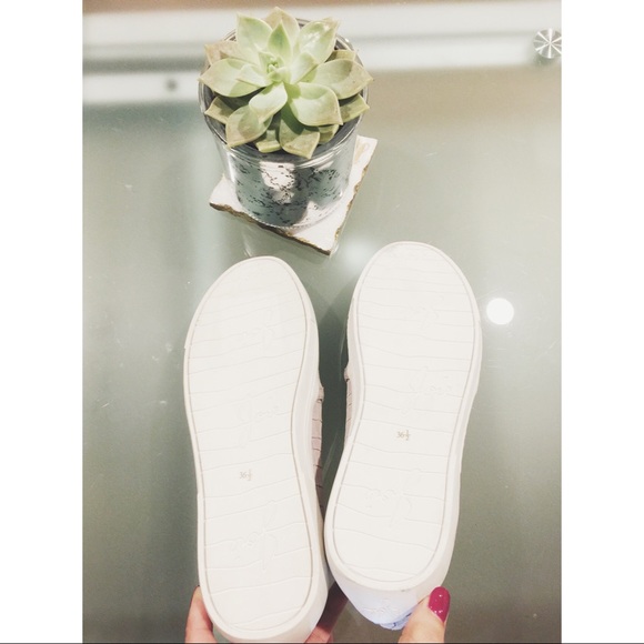 NEW JOIE CROCODILE SNEAKERS SLIP ONS 36.5 / 6.5 - Picture 3 of 6