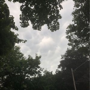 Meet your Posher, Ever