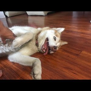 Meet your Posher, Minh