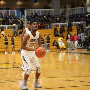 Meet your Posher, Joey