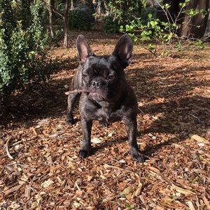 Meet your Posher, Vincent