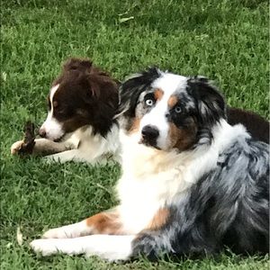 Meet your Posher, Connie