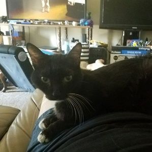 Meet your Posher, Ember