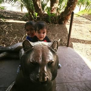 Meet your Posher, Zahra