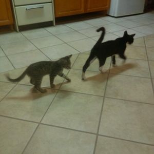 Meet your Posher, Sara