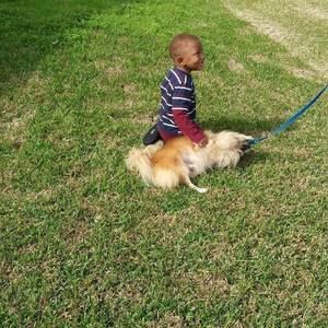 Meet your Posher, Annie