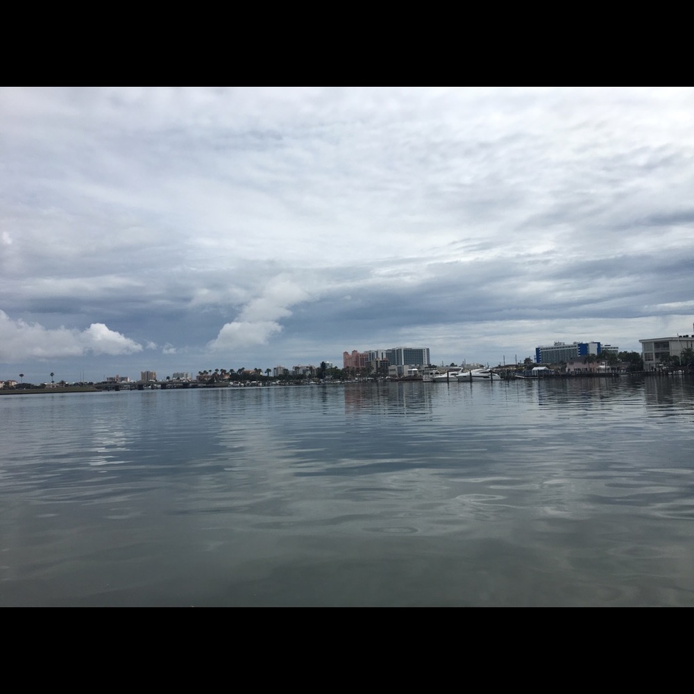 Meet your Posher, Angelina