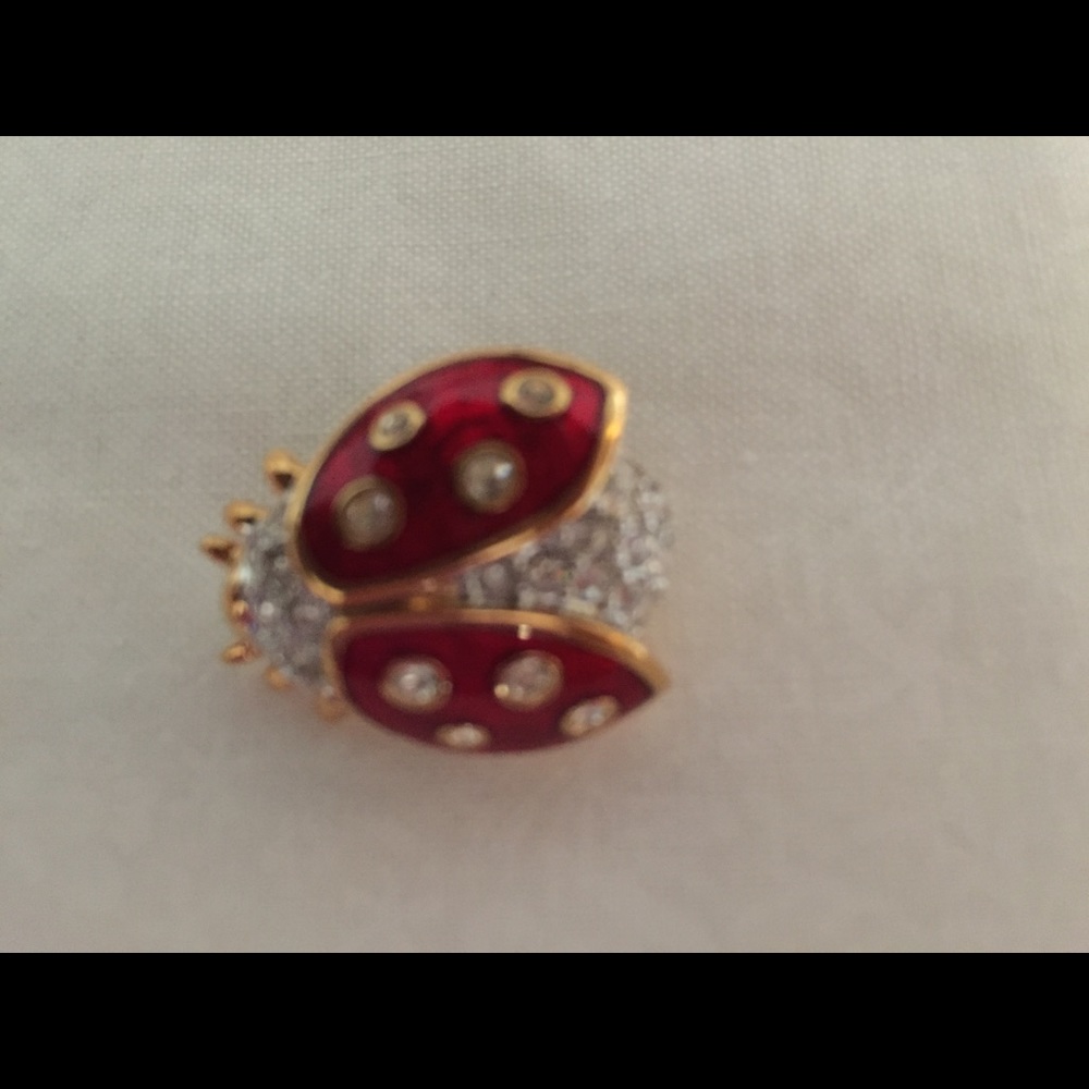 Ladybug Pin